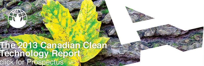2013 CCT Report